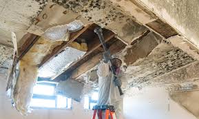 Best Mold Remediation for Healthcare Facilities  in Chicago Ridge, IL